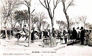 1729- Ain-Beida - Le Marche aux legumes
